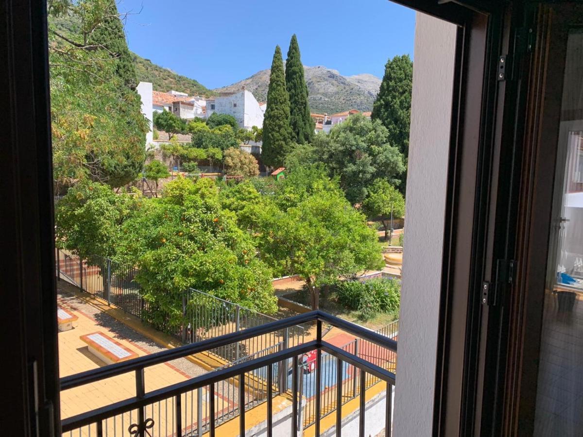 Casa Del Secretario Βίλα Cortes de la Frontera Εξωτερικό φωτογραφία