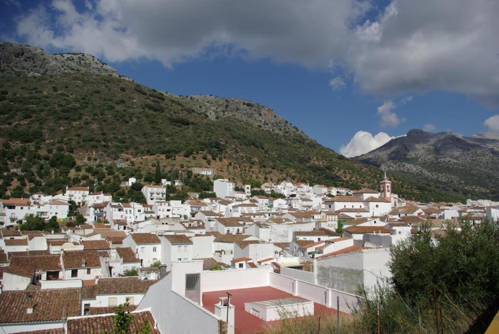 Casa Del Secretario Βίλα Cortes de la Frontera Εξωτερικό φωτογραφία